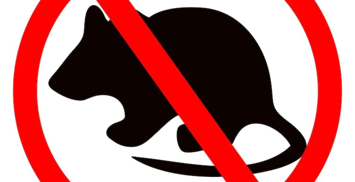 No More Rats!